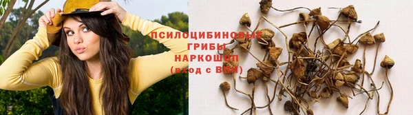 spice Белоозёрский