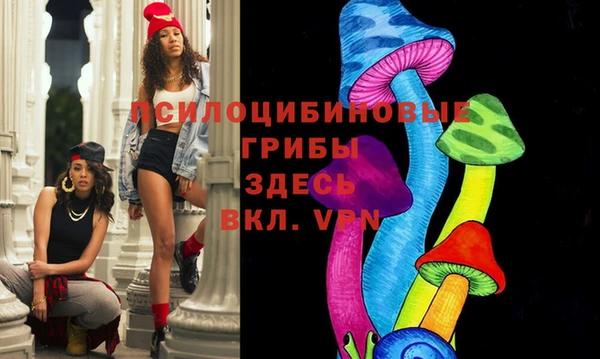 герыч Богородск