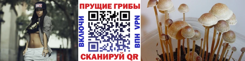 Галлюциногенные грибы ЛСД  Новый Уренгой 