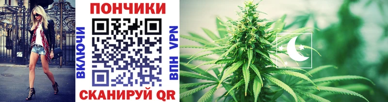 купить наркотик  KRAKEN зеркало  Шишки марихуана OG Kush  Новый Уренгой 